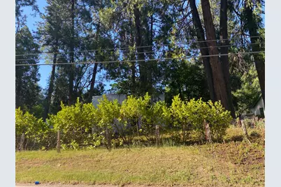 11314 Squirrel Creek Road, Grass Valley, CA 95945 - Photo 21