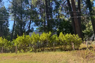 11314 Squirrel Creek Rd, Grass Valley, CA 95945 - Photo 21