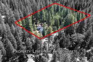5315 Wildberry Dr, Grizzly Flats, CA 95636 - Photo 43