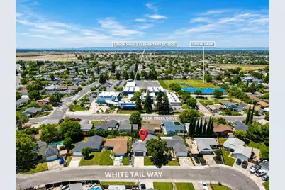 7880 White Tail Way, Sacramento, CA 95823 - Photo 27