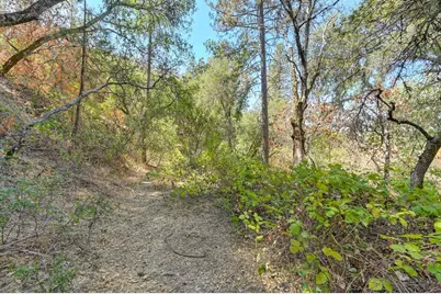0 Browns Rd, Placerville, CA 95667 - Photo 17