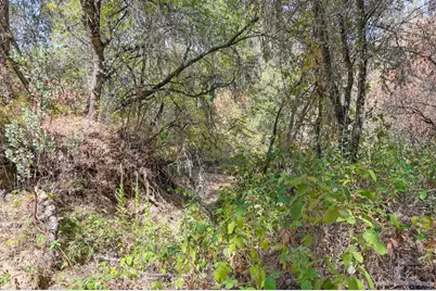 0 Browns Rd, Placerville, CA 95667 - Photo 23
