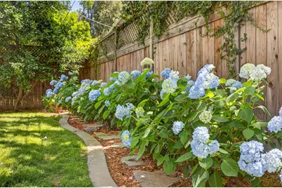 1810 9th Avenue, Sacramento, CA 95818 - Photo 59