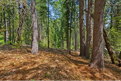 13604 Axle Court, Grass Valley, CA 95945 - Photo 7