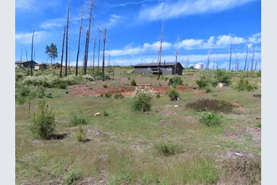 7130 Winding Way, Grizzly Flats, CA 95636 - Photo 9