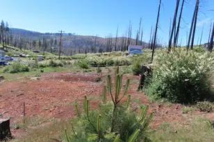 7130 Winding Way, Grizzly Flats, CA 95636 - Photo 1