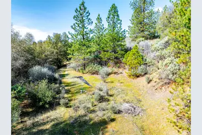 1000 Story Lane, Placerville, CA 95667 - Photo 13