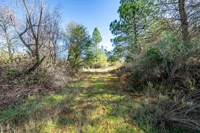 1000 Story Lane, Placerville, CA 95667 - Photo 31