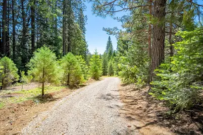 6645 Blackhawk Lane, Foresthill, CA 95631 - Photo 77