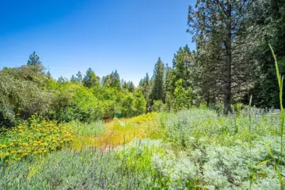 6645 Blackhawk Lane, Foresthill, CA 95631 - Photo 55