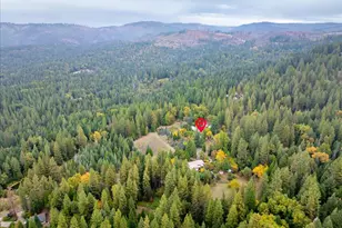 9501 Grizzly Flat Rd, Grizzly Flats, CA 95636 - Photo 47