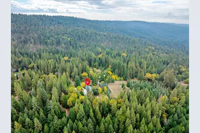 9501 Grizzly Flat Road, Grizzly Flats, CA 95636 - Photo 53