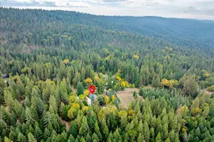9501 Grizzly Flat Rd, Grizzly Flats, CA 95636 - Photo 53