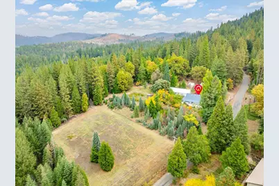 9501 Grizzly Flat Road, Grizzly Flats, CA 95636 - Photo 45