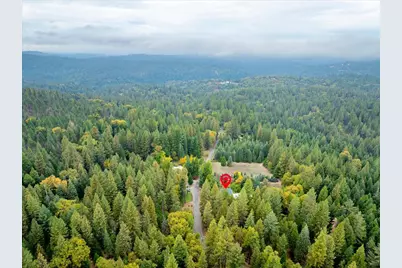 9501 Grizzly Flat Road, Grizzly Flats, CA 95636 - Photo 55
