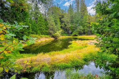 9501 Grizzly Flat Road, Grizzly Flats, CA 95636 - Photo 67