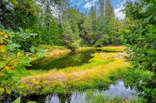 9501 Grizzly Flat Rd, Grizzly Flats, CA 95636 - Photo 67