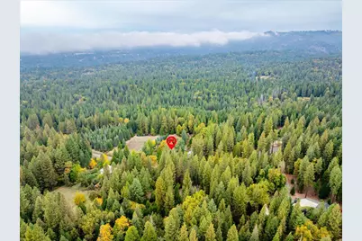 9501 Grizzly Flat Road, Grizzly Flats, CA 95636 - Photo 57