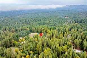 9501 Grizzly Flat Rd, Grizzly Flats, CA 95636 - Photo 57