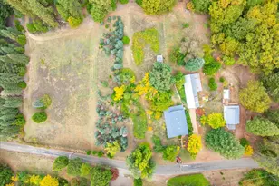 9501 Grizzly Flat Rd, Grizzly Flats, CA 95636 - Photo 43