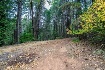 9501 Grizzly Flat Road, Grizzly Flats, CA 95636 - Photo 73