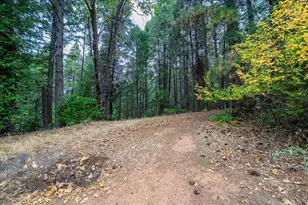 9501 Grizzly Flat Rd, Grizzly Flats, CA 95636 - Photo 73