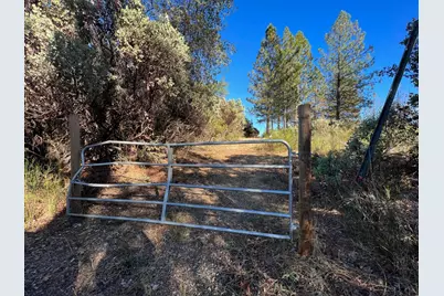 15375 Cliff Road, Nevada City, CA 95959 - Photo 9