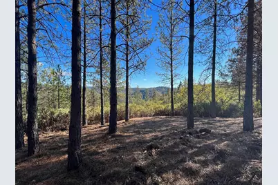 15375 Cliff Road, Nevada City, CA 95959 - Photo 3
