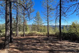 15375 Cliff Rd, Nevada City, CA 95959 - Photo 1