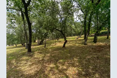 4245 Raphael Drive, El Dorado Hills, CA 95762 - Photo 35