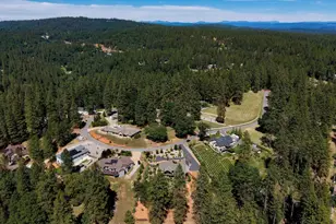 10213 Evergreen Ranch Ct, Grass Valley, CA 95949 - Photo 91