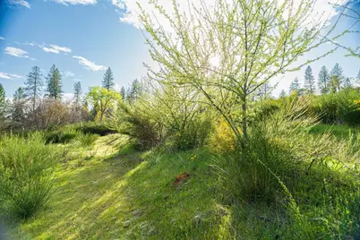 10571 Sebastopol Road, North San Juan, CA 95960 - Photo 21