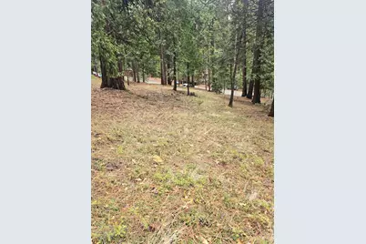 594 Dean Way, Arnold, CA 95223 - Photo 1