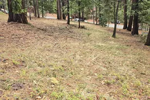 594 Dean Way, Arnold, CA 95223 - Photo 1