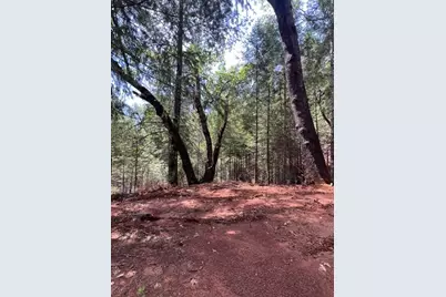 5040 Butterfield Stage Road, Georgetown, CA 95634 - Photo 15