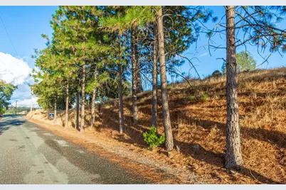 19635 Peyton Pl, Grass Valley, CA 95949 - Photo 37