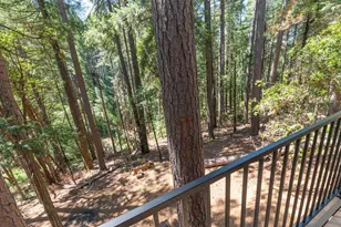 17590 Woodcrest Dr, Pioneer, CA 95666 - Photo 43