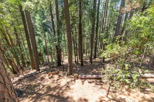 17590 Woodcrest Dr, Pioneer, CA 95666 - Photo 45