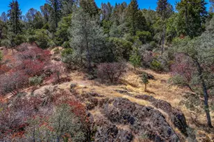 1244 Stallion Way, Angels Camp, CA 95222 - Photo 17