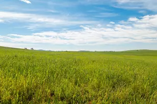[Address not provided], Smartsville, CA 95977 - Photo 53