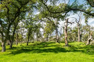 [Address not provided], Smartsville, CA 95977 - Photo 55