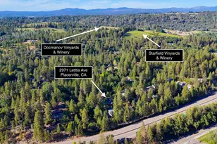 2971 Letitia Ave, Placerville, CA 95667 - Photo 23