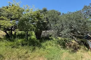 Cedar Circle, Folsom, CA 95630 - Photo 37