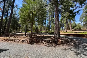 19380 Ponderosa Dr, Pioneer, CA 95666 - Photo 55