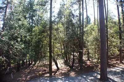 19380 Ponderosa Drive, Pioneer, CA 95666 - Photo 47
