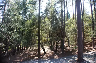 19380 Ponderosa Dr, Pioneer, CA 95666 - Photo 47