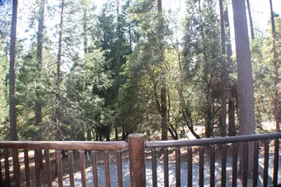 19380 Ponderosa Drive, Pioneer, CA 95666 - Photo 33