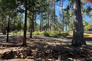 19380 Ponderosa Dr, Pioneer, CA 95666 - Photo 49