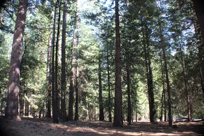 19380 Ponderosa Drive, Pioneer, CA 95666 - Photo 49