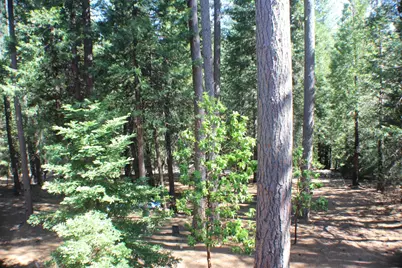 19380 Ponderosa Drive, Pioneer, CA 95666 - Photo 47